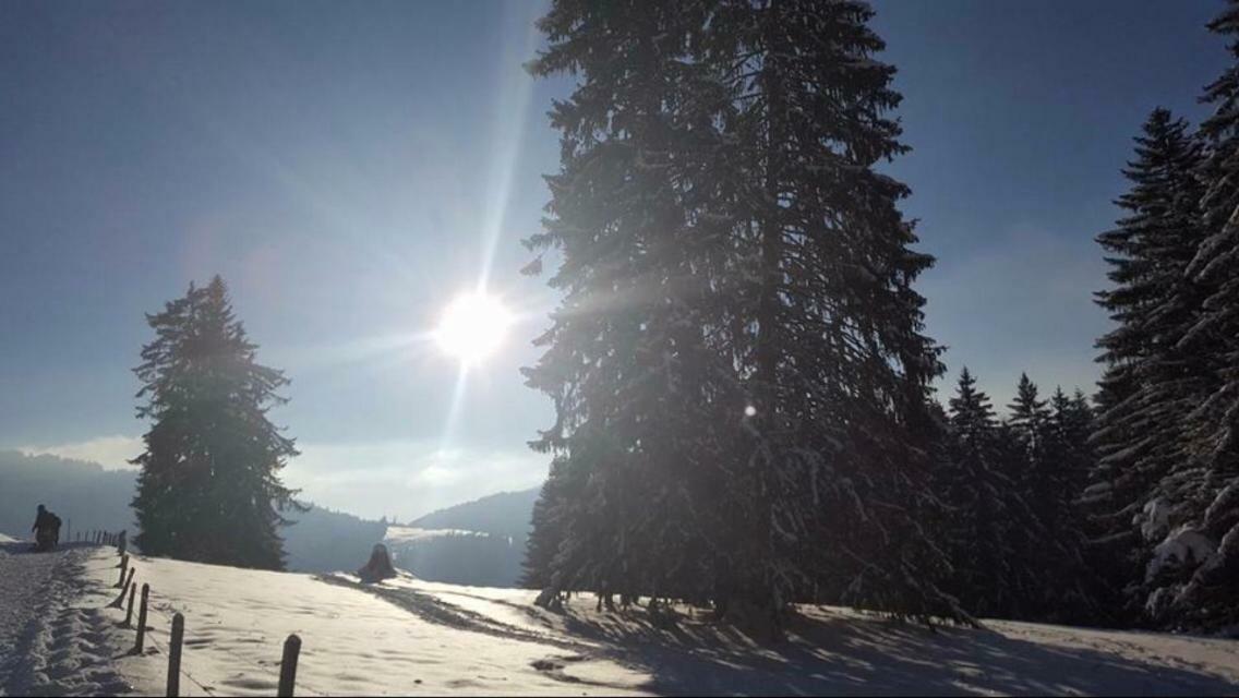 Route Des Joncs 300 Appartemen Les Paccots Kültér fotó