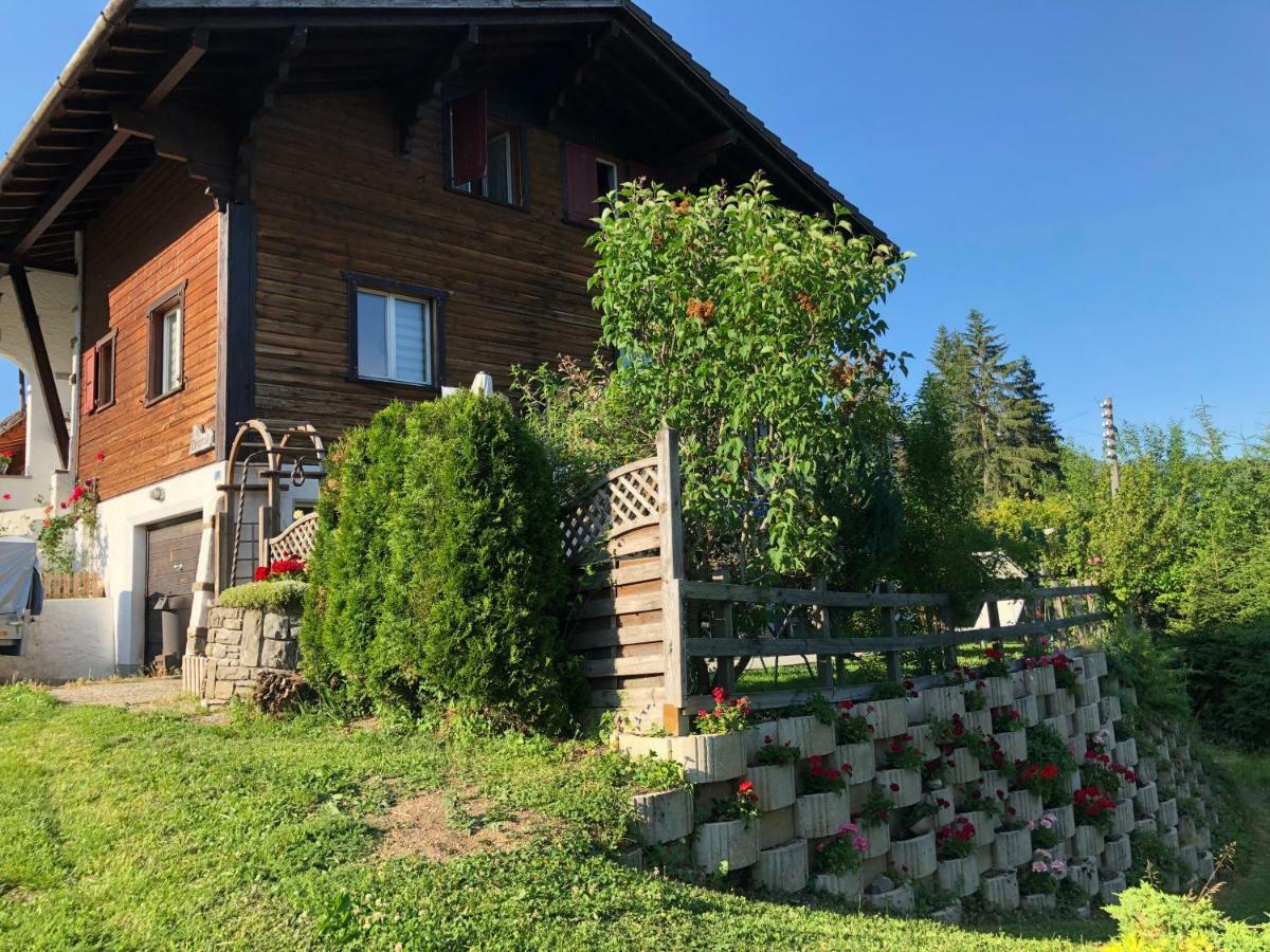 Route Des Joncs 300 Appartemen Les Paccots Kültér fotó