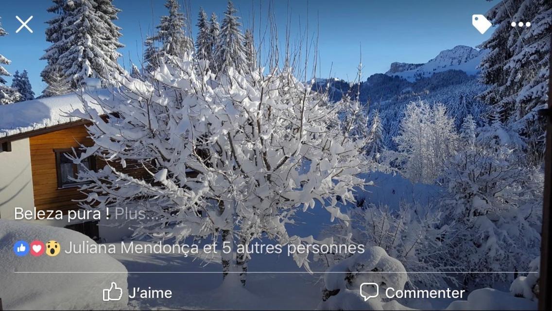Route Des Joncs 300 Appartemen Les Paccots Kültér fotó